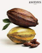 SOTHYS Baume demaquillant Reinigingsbalsem  | Macadamia-olie & Sheaboter